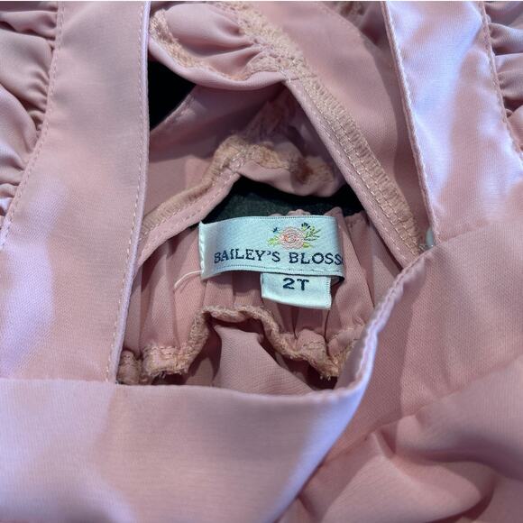 Bailey’s Blossoms Pink Ruffle Pinafore, Toddler Girl Size 2T - Picture 3 of 5